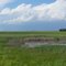 Prairie Ridge State Natural Area
