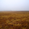 Prairie Ridge State Natural Area