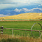 Green Pastures and the Beaverhead Mountains ...10.03.08*
