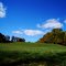Kimball Farm Feeds Cow Pasture