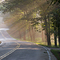 After a summer rain storm, late afternoon sunlight streams through trees on this country road.  Taken near the Danville - Kingston town line in Kingston, NH USA