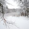 Wildcat Conservation Area