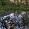 Ipswich River, Middleton-Danvers Line @ Farnsworth Landing