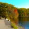 Spring Pond Peabody