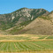 Petticoat Peak, the high point in the Fish Creek Range