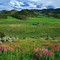 Fish Creek Basin, SE Idaho