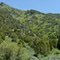 Abrupt slope of the Fish Creek mountain range