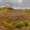 Berg Mine aspens pano