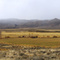 Reynolds farm pano