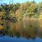 Herbst in Amerika