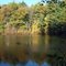 Herbst in Amerika