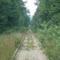 North to Grafton Center