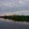 Early Morning Kayaking on the Choptank