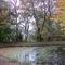 Pond