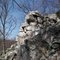 White Rocks