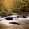 a creek in Catoctin Park