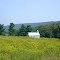 Pleasant Valley U.M. Church on Pleasant Valley Rd, near Smithsburg MD.