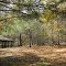 By the creek, Mountaindale