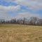 Mark's Feild