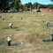 trinity memorial gardens