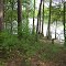 Trap Pond Campground