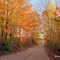 Autumn on Sunset Trail