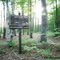 Cranberry Lake access site
