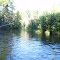 Manistee River Below CCC Bridge July 2007