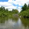 Manistee River below Yellow Tree Landing