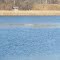 The beauty of Picnic Lake