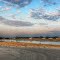 Desolate Beauty: Cul-de-sac at Placid Waters
