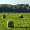 Grand Valley Field with Hay Bales