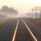 Golden tracks