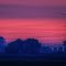 Dawn Illuminates Powerlines (Panoramic)