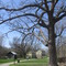 Parker Mill Park, Ann Arbor, MI