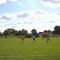 Freedom Soccer Field