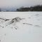 debris in Hay field