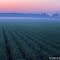 Pastel Light of Dawn, Zeeland Channel