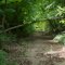 Heading north on the Polly Ann Trail