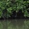 White River