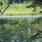 River Lakes