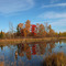 Marsh in Autumn near Big Elbow Lake, Minnesota