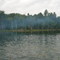 Hazy fishing day