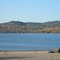 Pine Point