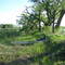 Moore Lake, early June