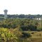 Morris Mn