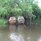 Junk Dock 2