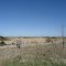 Wide Open Fields