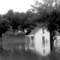 E. Locust& Baskett,  Aug 2, 1958
