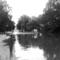 Elk Fork Bridge, July, 1958